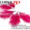 CHINAZP No.1 Supplier in China Factory Exporting Wholesale Dyed Pale Violet Red from 6inch to 8inch Ostrich Feathers