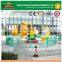 Fun Animal Type of Amusement Park Games Kangaroo Jumps for Sale