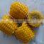 NON-GMO frozen sweet corn cut IQF Sweet Corn