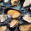 frozen mussel meat with half shell