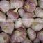 Chinese Normal White Fresh Garlic, 2016 Crop High Quality