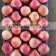 paper bagged QinGuan Apple