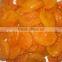 China export great quality dried apricot