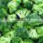 frozen brocoli
