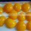 2016 crop Canned yellow peach halves in light syrup