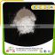 500g high quality powder Ajinomoto supplier factory sale msg