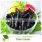 China supplier sodium humate powder/granule/shiny flake used as soil modifier