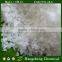 magnesium chloride crystals MgCl2.6H2O