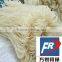 Automatic sweet potato starch vermicelli making machine