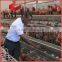 100% Response Rate Cheap Industrial Chicken Coop