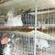 Top Promotion Double Rabbit Hutch For Sale