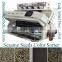 CCD Seeds Color Sorter for Sunflower seeds,White and Black Sesame Seeds color sorting machine