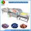 New developed vortex air bubble ozone fruit and vegetable washing machine, advanced vegetable washer for production line