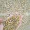 white color free shipping garden stones with high quality