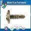 Made in Taiwan Modified Truss Head Self Drilling Screw