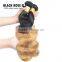 Wholesale 24 inch Ombre Human Braiding Hair,Double Weft Color 1b 27 Ombre braiding Hair