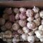 2017 New Crop 5cm Normal White Fresh Garlic 10kg Box Packing