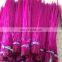 dyed and bleached 18-20inch ringneck pheasant tail feathers