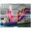 2017 Aier Nice and cheap giant inflatable slide for sale/Princess themed inflatable pool slide/slide inflatable