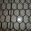 Wire Mesh Netting Hot Dipped Galvanized