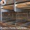 H type layer chicken chicken cage with full automatic equipment for 50000 birds