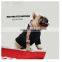 Spring Dog Clothes Hoodie Fashion Summer Letters Printed Coat Corgi Teddy Schnauzer Pomeranian Pet Clothing