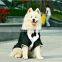 New pet clothing dog suit dress Golden Retriever Husky large and medium dog suit