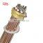LYDR Flange Thread Instant Heating Element 240v dc Water Heater Element