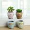 Succulent flowerpot green plant flower pot hand-painted creative ceramic mini potted micro-landscape
