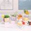 Indoor Garden Home Decor Accessories Mini Cute Cartoon Animal Head Ceramic Pots With Mixed Artificial Succulents