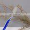 Hotel and travel wholesale disposable toothbrush with toothpaste