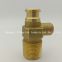 20MM Outlet LPG Gas Brass Self Closing Cylinder Valve