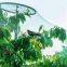 Red de protección de uvas de HDPE, red anti pajaros, red de protección contra granizo para vi?edos agrícolas