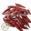 Chinese Exported, Whole Dried, Dry Hot Tianying Red Chaotian Chilli