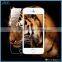 Hot sale used mobile phones anti shock tempered glass screen protector for iphone 5/5s