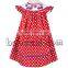 Adorable car hand smocked bishop dress for Independence