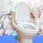 Smart toilet bidet