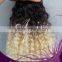 Brazilian Ombre Hair Extensions Two Tone Human Hair Weft