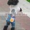 Dog Clothing