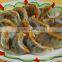 Good appearance gyoza making machine/fry gyoza machine