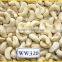 Vietnam nutritious cashew nuts for exporting