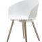 Wholesale Plastic and Wooden Dining Chair