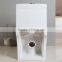 sanitary ware washdown s-trap 250mm Middle East toilet bowl Saudi bathroom design toilet