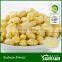GMP soy isoflavone extract powder soy lecithin soy isoflavone