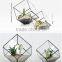 Hanging geometric glass terrarium, glass globe hanging terrarium