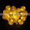 Christmas Holiday Name Solar Power 4.8M 20 LED Ball String Lights