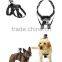 For Adjustable Hound Dog Pet Harness Back Chest Fetch Strap Belt Mount for Go Pro H Ero 4 3+ 3 2 1 Camera Dog Chest Strap