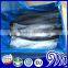 Frozen Atlantic Mackerel Scomber Scombrus, Spanish Mackerel