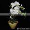 Artificial coated Phalaenopsis Orchids bonsai