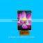 2inch tft lcd monitor with ILI9225G custom tft panel